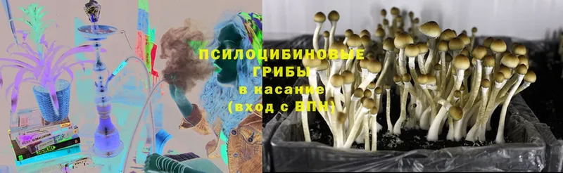 магазин    OMG рабочий сайт  Галлюциногенные грибы MAGIC MUSHROOMS  Заволжск 